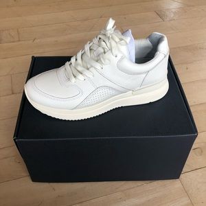 Everlane The Trainer